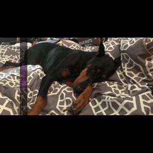 Meet your Posher, Michael